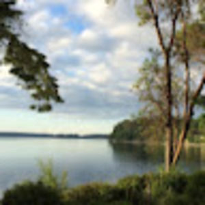 Meet your Posher, Sandy